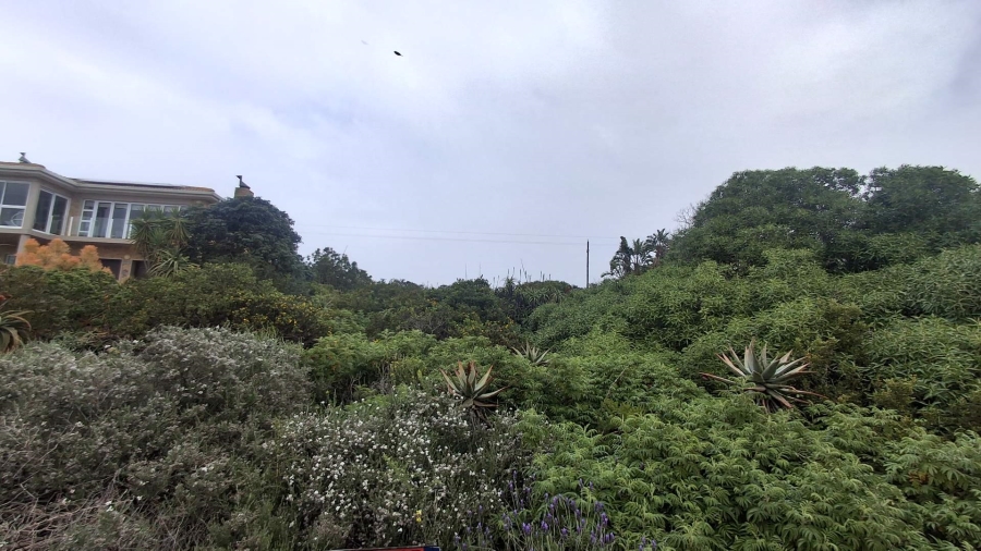 0 Bedroom Property for Sale in Vleesbaai Western Cape